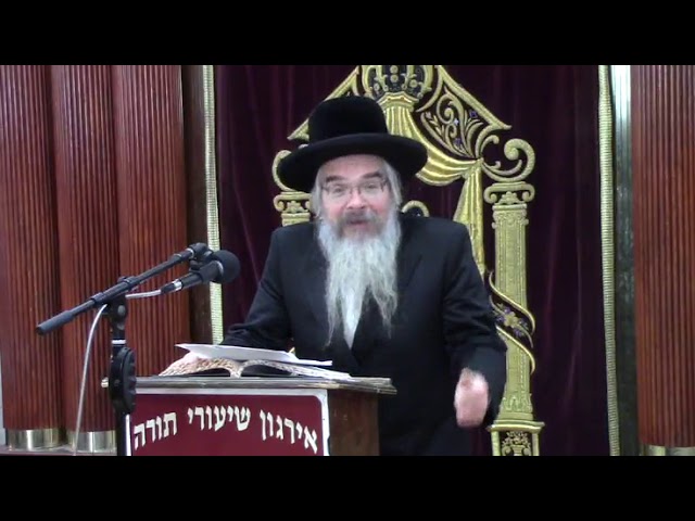 הלכות חנוכה - הרב אברהם חיים שטיינווארצל