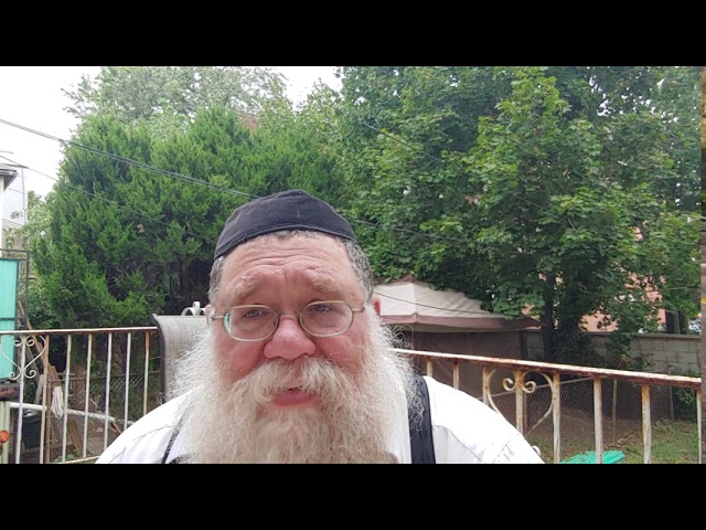 Rabbi Soloveitchik says Rebbe did miracle to him in 1980
