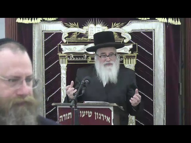 ענינים נחוצים העומדים על הפרק - ר' יצחק שטיין שליט"א