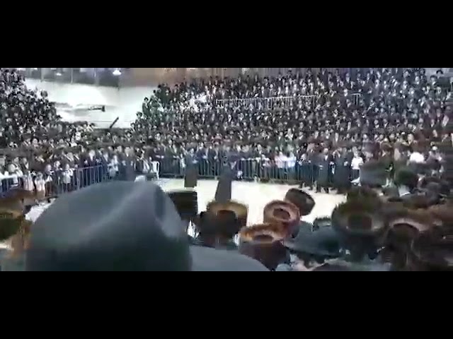 שמחת החתונה בבית ערלוי וויזניץ