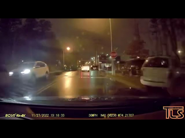 Dashcam wild driver