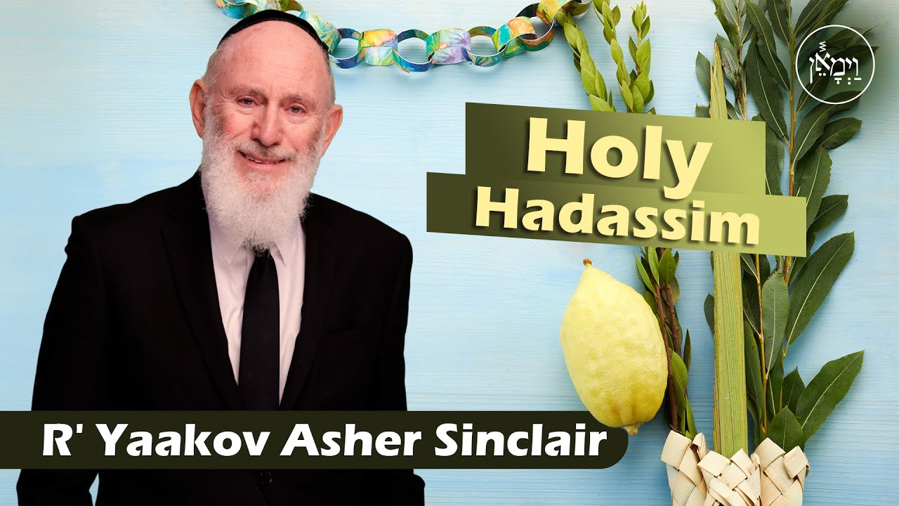 Holy Hadassim | Rabbi Yaakov Asher Sinclair