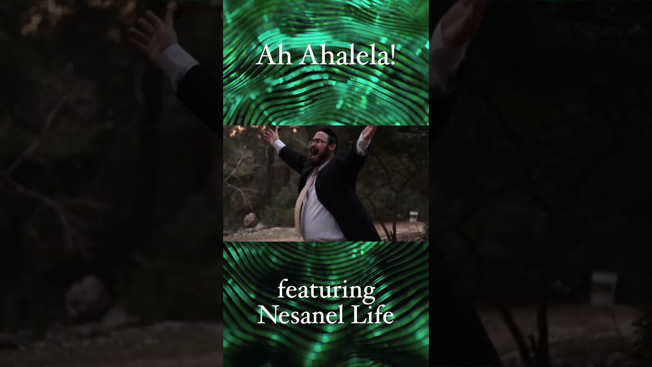 Ah Ahalela feat. Nesanel Life #praise #Hashem #israel #love #peace