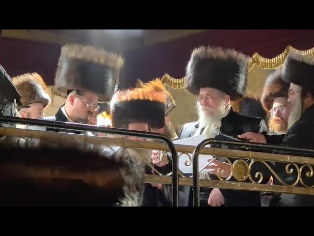 Skver BP Rebbe Mesader Kiddushin At His son's wedding