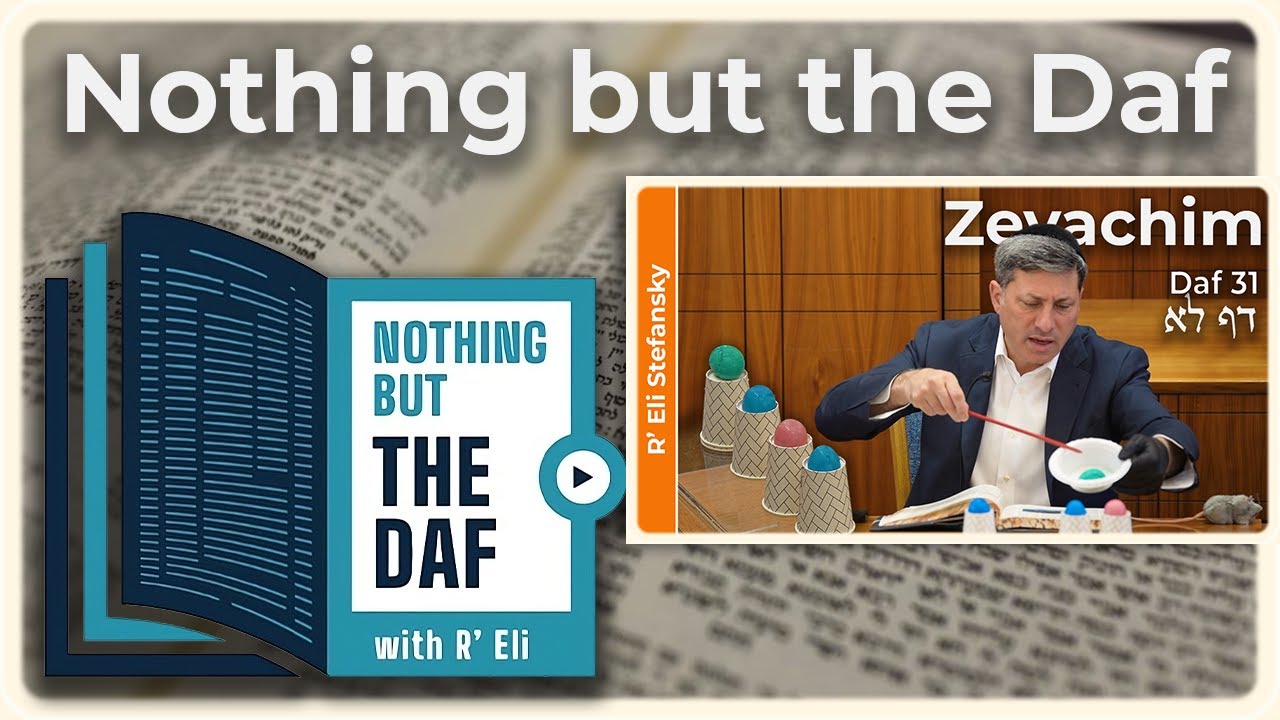 CHAZARAH - Zevachim Daf 31 | "Nothing but the Daf" with R' Eli Stefansky