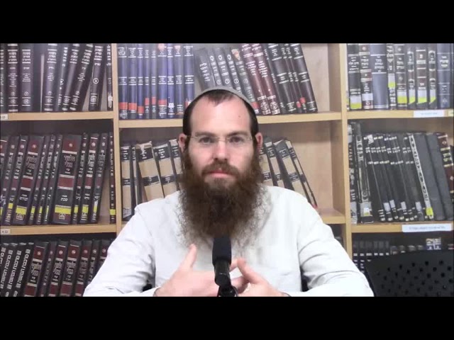כי מאיתך היא מנוחתם - דבר תורה לפרשת דברים - הרב שלומי שפירא