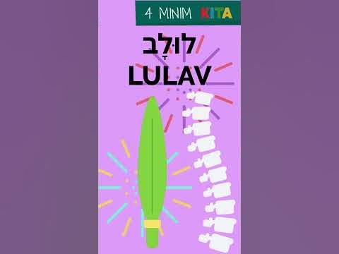 Learn about the Arba Minim – the Four Species of Sukkot!