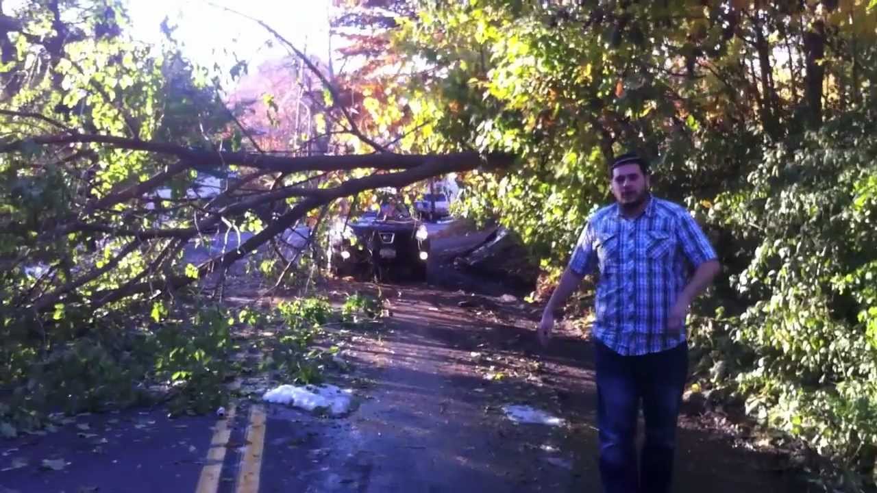 Avoiding Getting Hit By A Tree | Beri Weber - Thank You Hashem