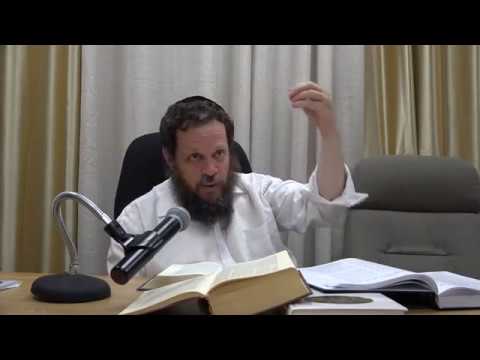 תהילים #12 - פרק ז'
