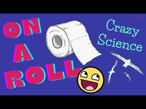 On A Roll with Dr Shnitzel's wacky science