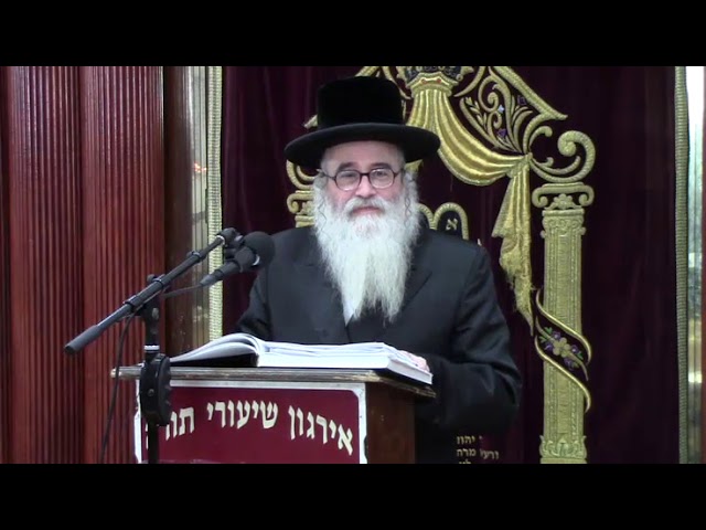 הלכות אכילת מצה - הרב יצחק שטיין