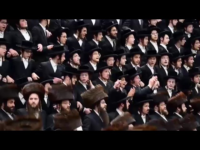 #סאטמאר