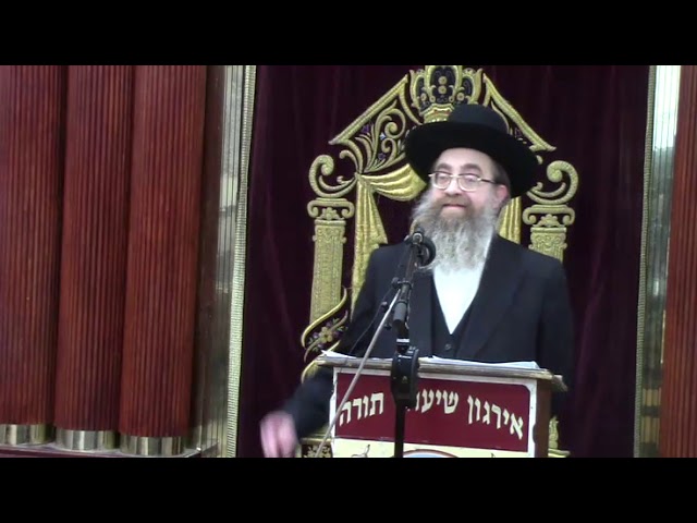 דיני שהחיינו בנישואין ובמצוות - הרב אלעזר ברוך באלד