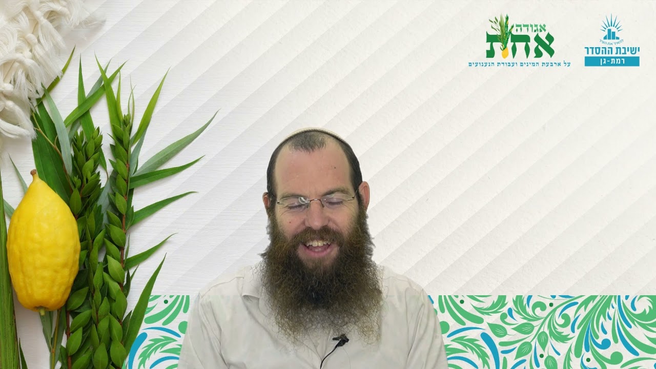 מן הלב- החוצה ופנימה | אגודה אחת- ג | כוונת הנענועים | הרב שלומי שפירא