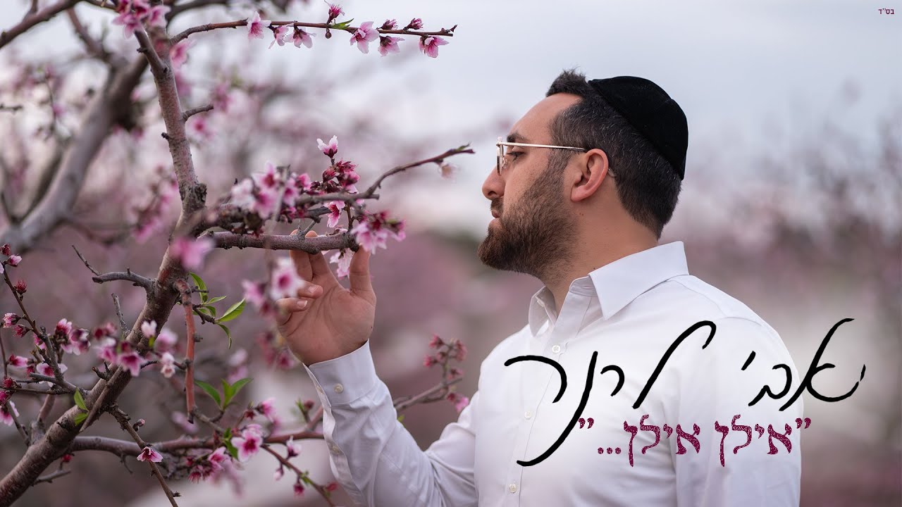 אבי לרנר - אילן אילן | Avi Lerner - Elon Elon