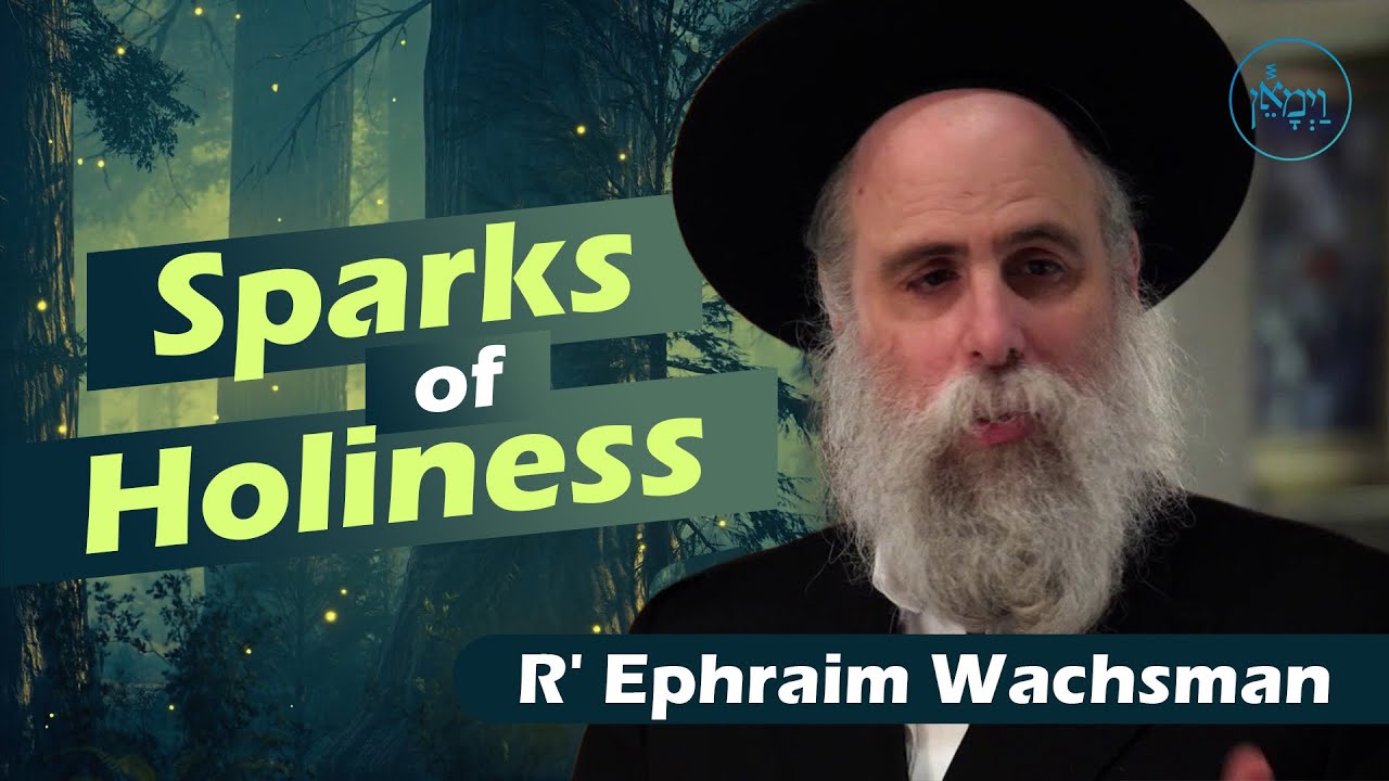 Sparks of Holiness | Rabbi Ephraim Wachsman