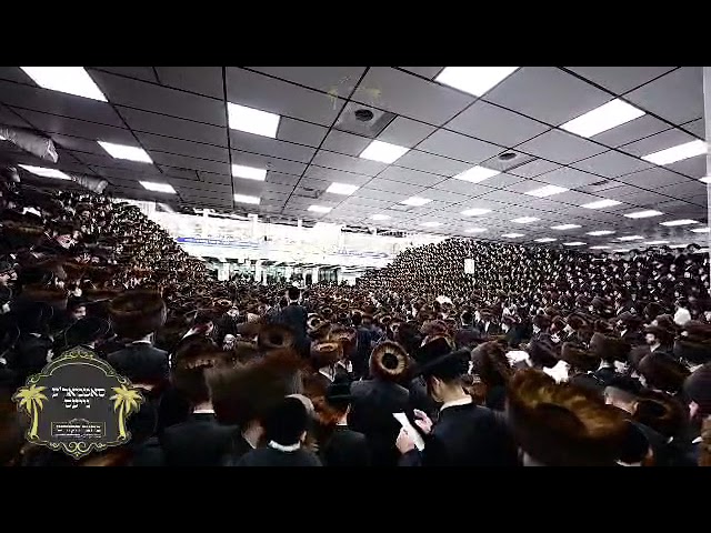 סאטמאר רבי