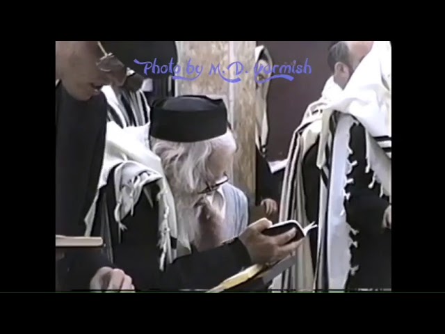 Rav Eliezer Menachem Man Shach ztz"l - From the MD Yarmish Collection