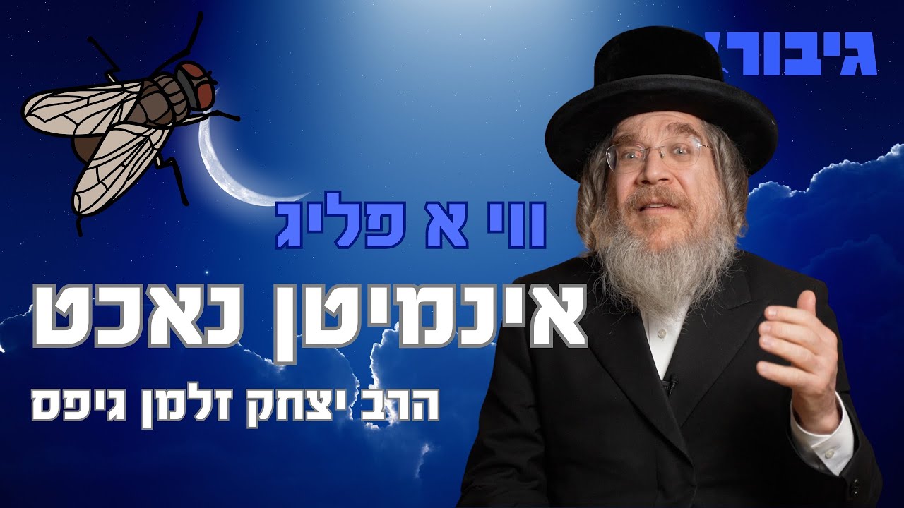 ווי א פליג אינמיטן נאכט | הרב יצחק זלמן גיפס