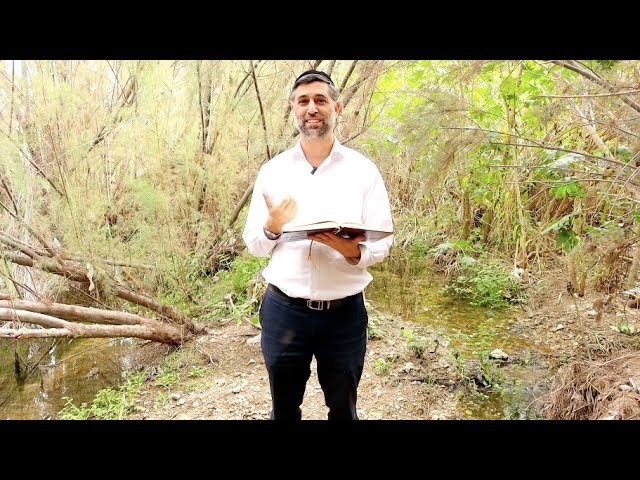 Bitachon 186 - Moshiach Rises in Chaos