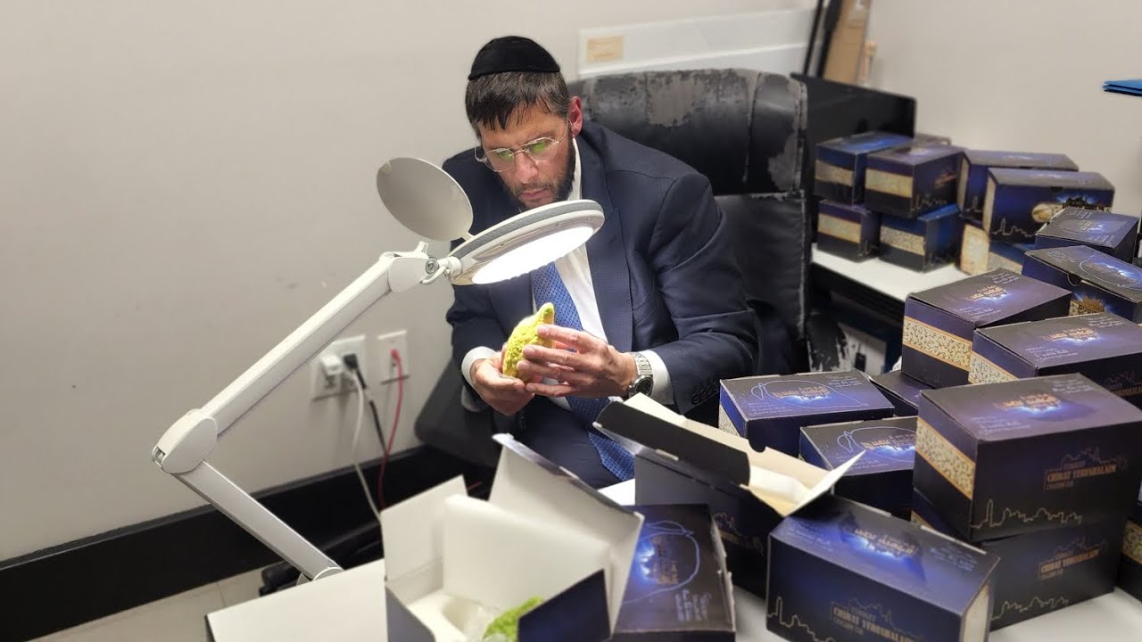 Exclusive Pre-Selected Daled Minim Sets at Chestnut Shul: Special Interview with Yisrael M.Rosenthal
