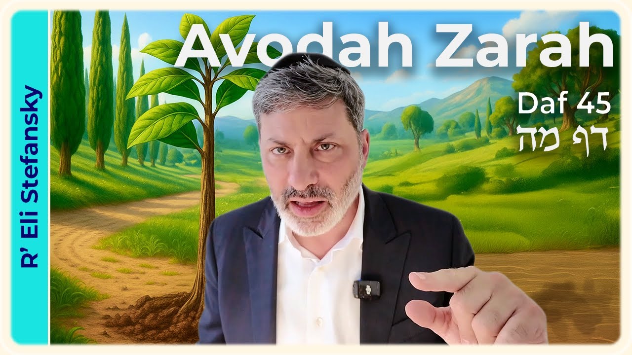 Daf Yomi Avodah Zarah Daf 45 by R' Eli Stefansky