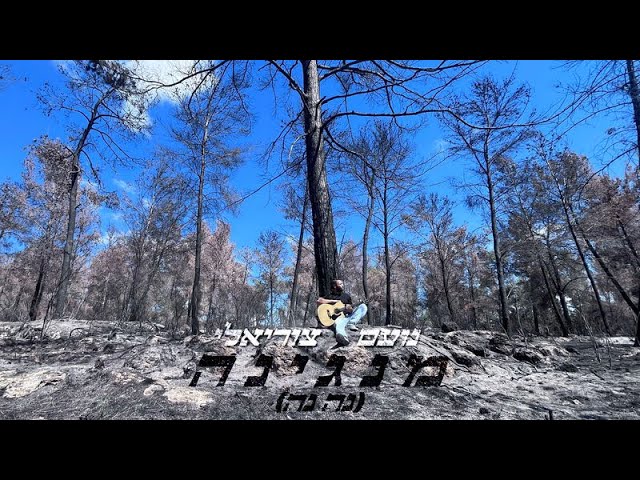 נועם צוריאלי - מנגינה (נה נה) | Noam Tsuriely - Mangina (Na Na)