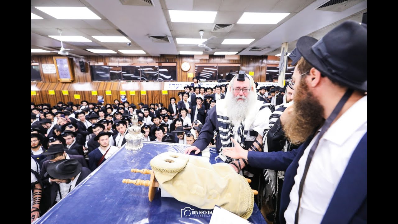 Plotkin Baby named in 770