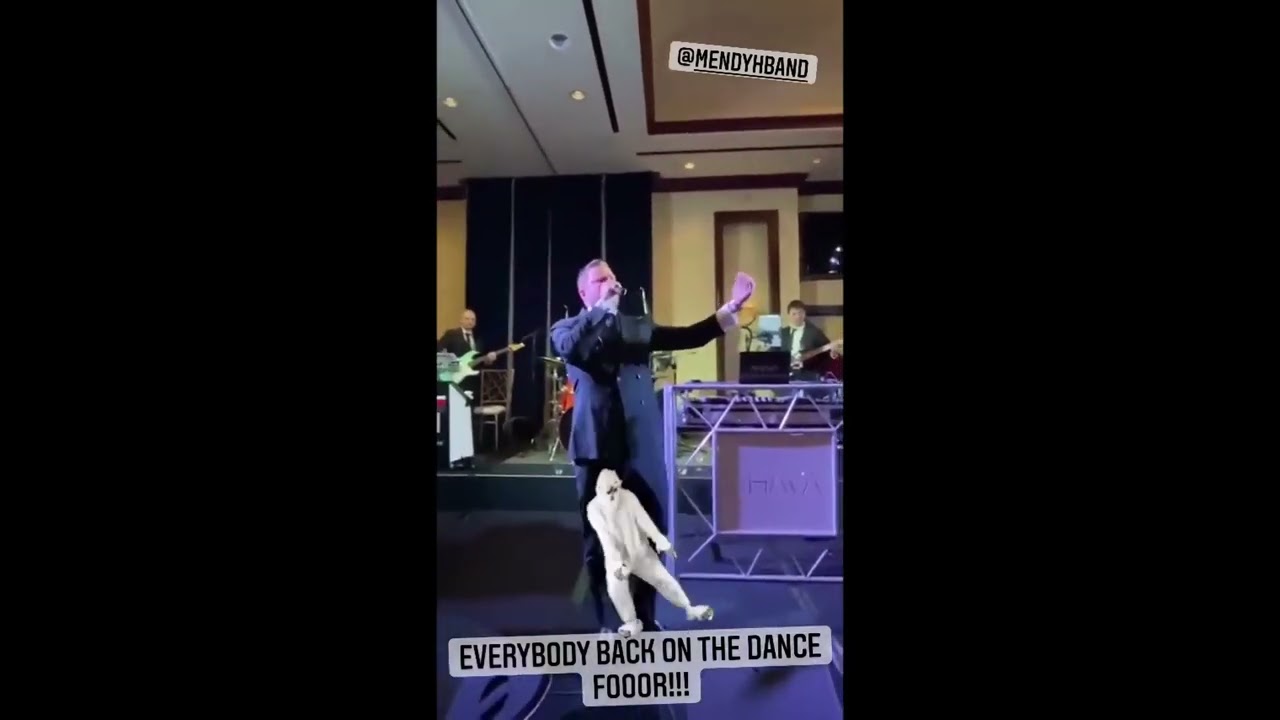 Mordechai Shapiro: Everybody Back On The Dance Floor