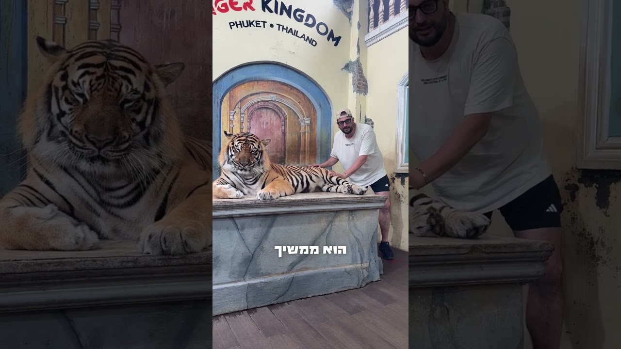 בכל הסניפים של שיא החשמל והמיזוג