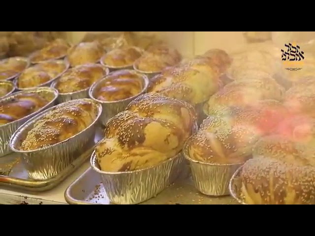 מסע הקודש זכור אזכרנו לידידי בית חוג חתם סופר, חודש אדר תשע"ט, בפולין - הונגריה - וצכסלובקיה