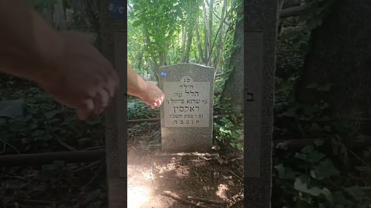 Chabad Staten Island Cemetery #1 - Hillel Raksin, child, 1967 - RC Dalfin