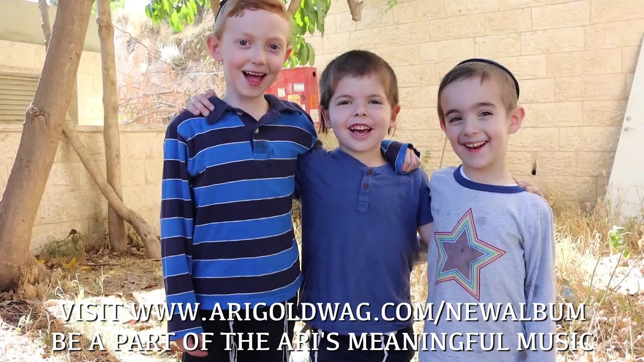 Ari Goldwag's Music to You