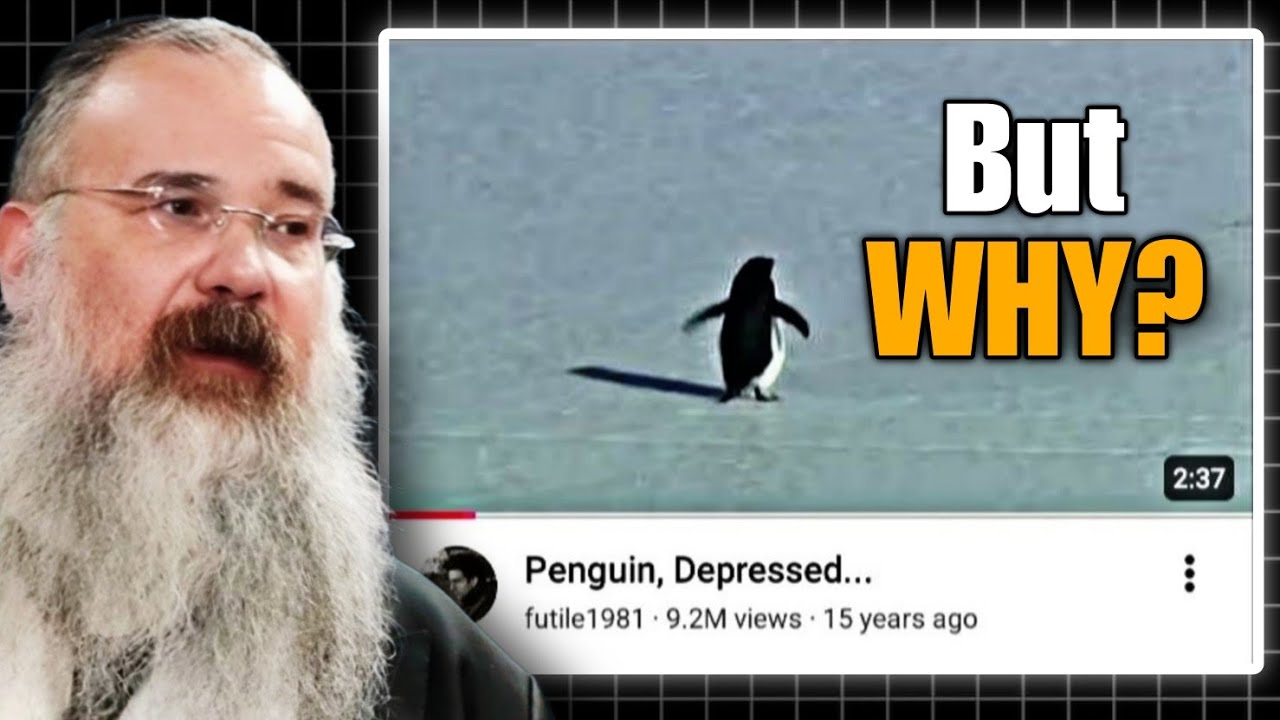Why you relate to the penguin