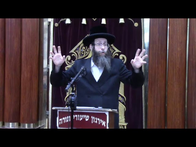 חילוקים במוקצה בין שבת ליו"ט - ר' צבי אונסדארפער שליט"א