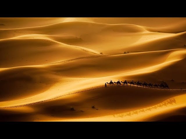 What can I achieve in the desert that the Torah was given there? - Rabbi Alon Anava