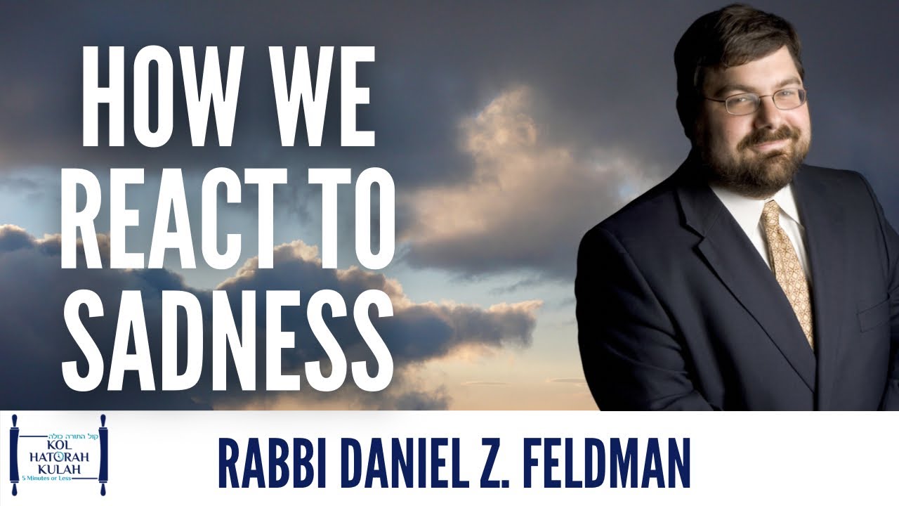 How We React To Sadness- Rabbi Daniel Z. Feldman