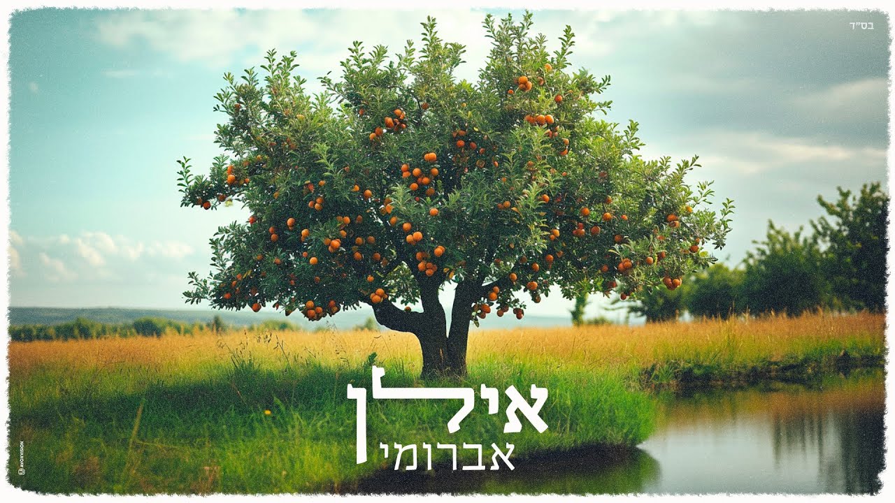 אברומי - אילן | Avrumi - Ilan