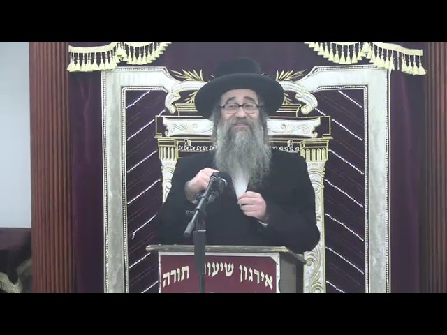 בני בנים הרי הן כבנים בהלכה ואגדה - ר‘ יוסף ערנסטער שליט“א