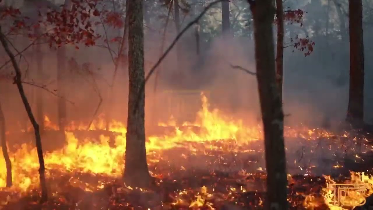 Country Club Wildfire in Lakewood NJ