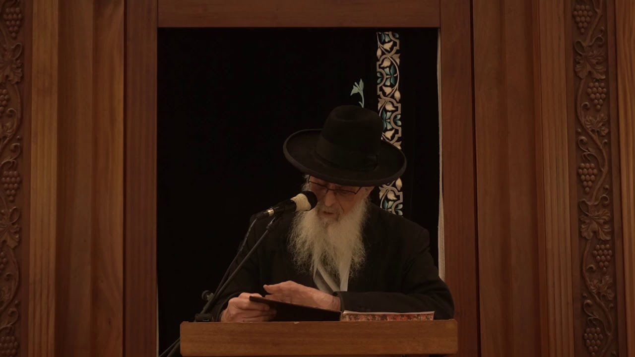 קודשים קלים ממון בעלים  -שיעור כללי מסכת בבא קמא -הרב יעקב אריאל