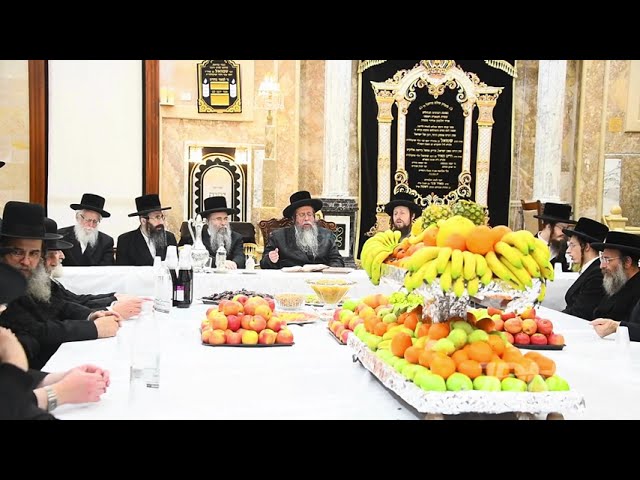 חמשה עשר בשבט אין חצר הקודש שבט הלוי