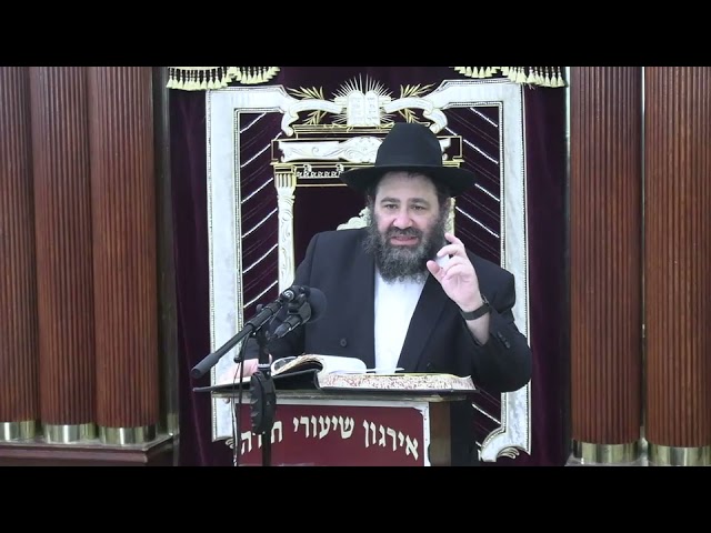 הלכות ריבית  - ר' שאול נוימאן שליט"א Car Financing