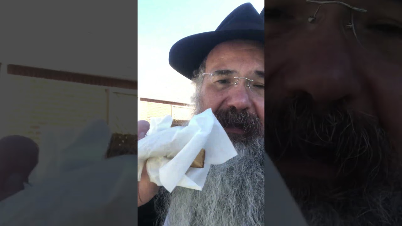 Yom Kippur thought