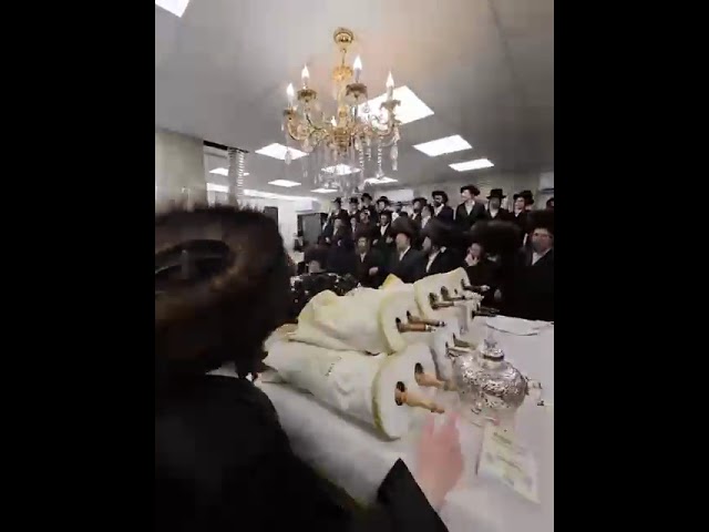 Hakafos Shniyos 5786 in Trebishan