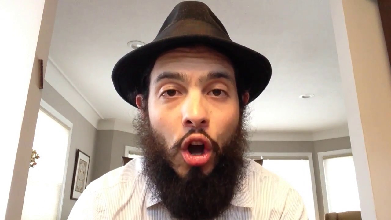 Ari Lesser - 4th of July - Declaration of Independence