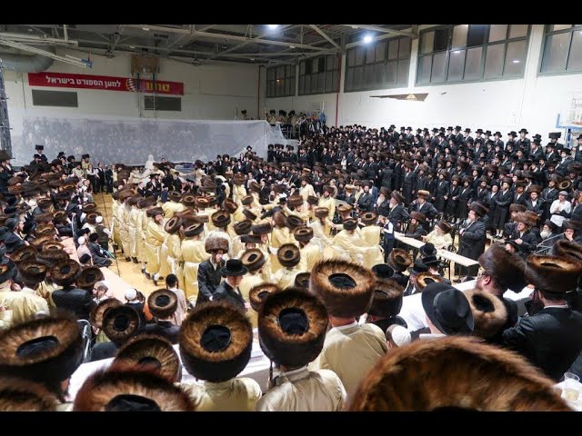 נכדי האדמו"ר מתולדות אברהם יצחק שליט"א בריקוד במצוה טאנץ בשמחת בית תוא"י - קרעטשניף - כסלו תשפ"ד