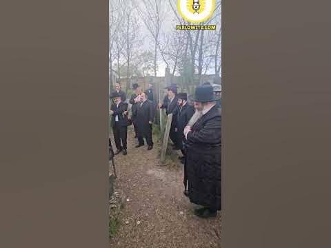 Laleches with R' AM Mallach!!!