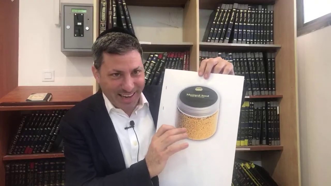 Daf Yomi Niddah Daf 40  by R’ Eli Stefansky background noise till min 16:35