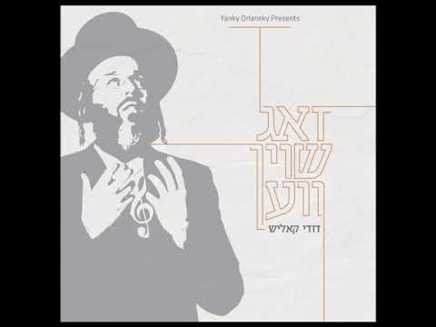 זאג שוין ווען